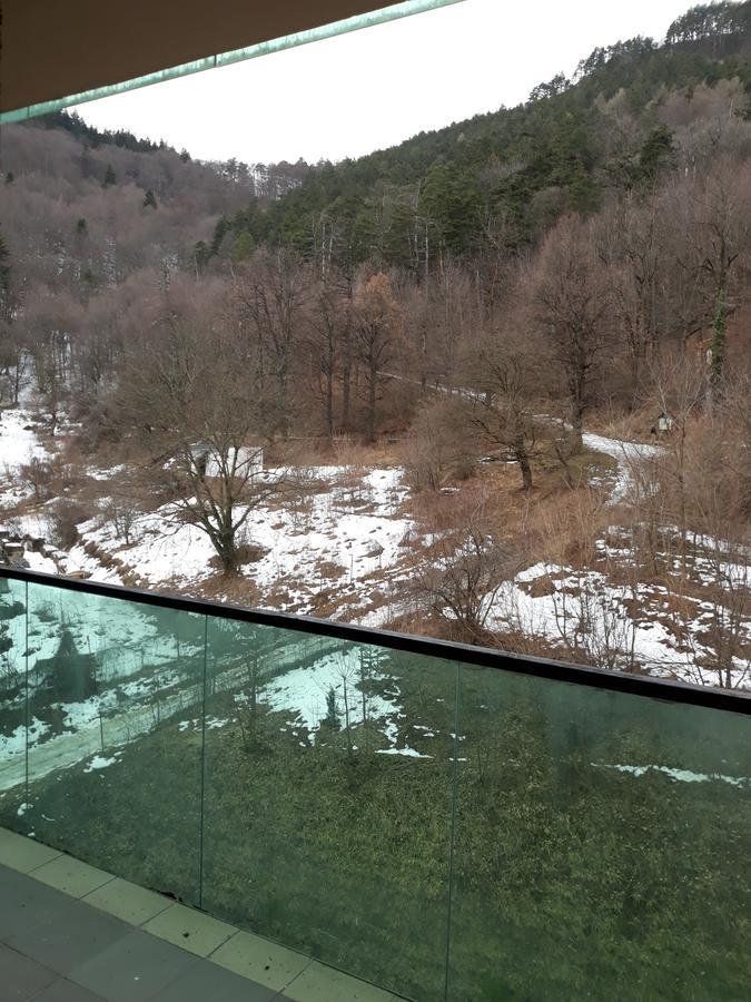 Apartment Scenery Tampa Brasov