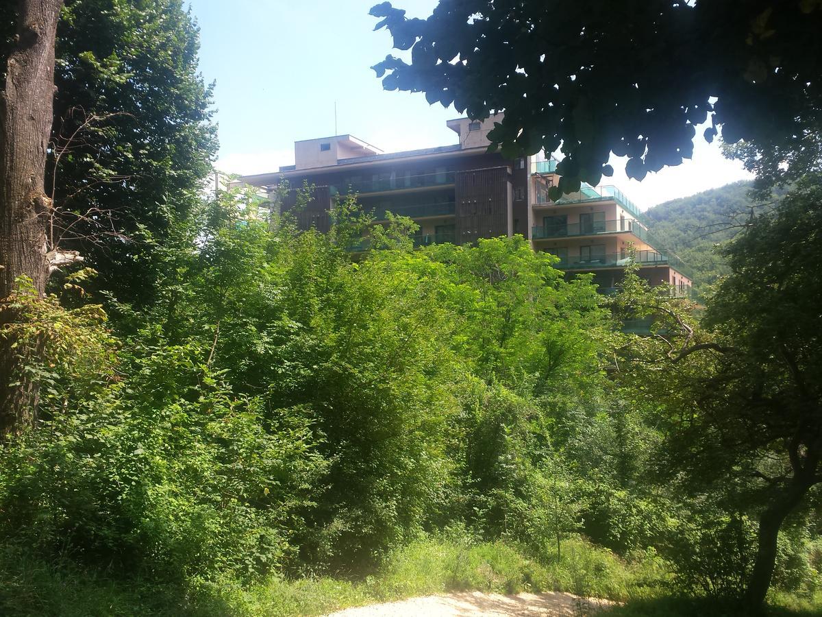 Scenery Tampa Brasov