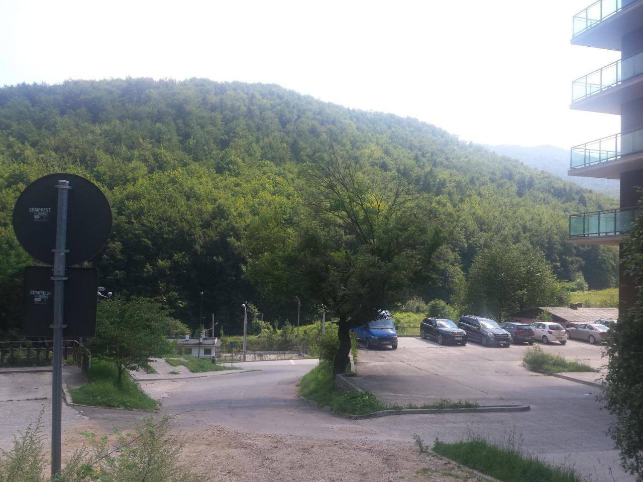 Scenery Tampa * Brasov
